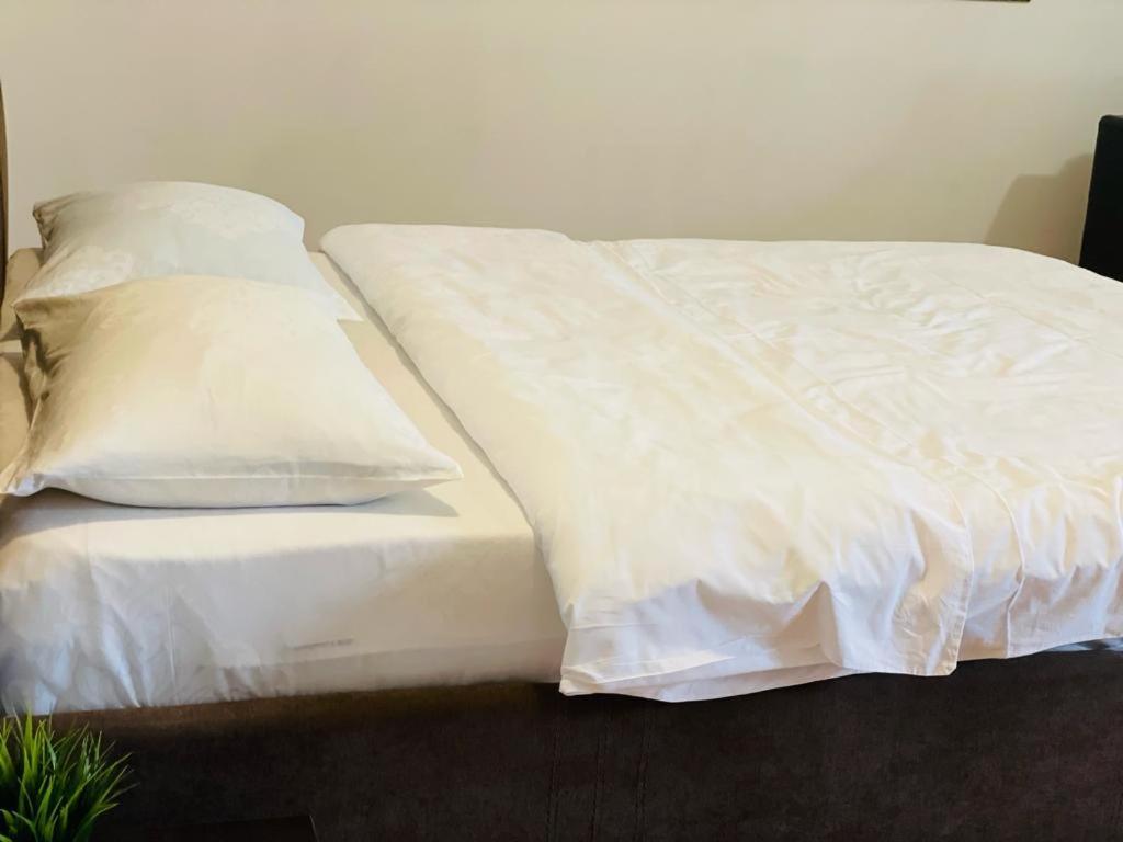 Tranzzit Airport Apartament أوتوبين المظهر الخارجي الصورة
