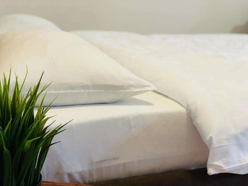 Tranzzit Airport Apartament أوتوبين المظهر الخارجي الصورة